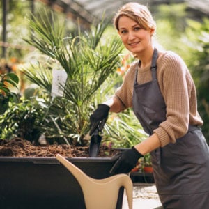 Jardinage, désherbage, rempotatage et plantation